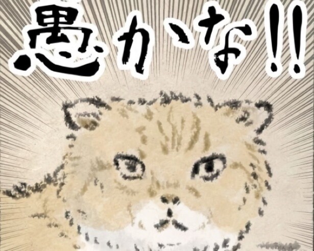 人間はおろかな生き物だなby猫様