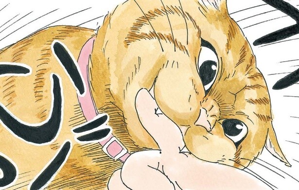 『かのこちゃんとマドレーヌ夫人』
