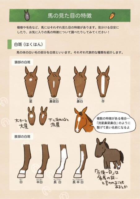 10話P8
