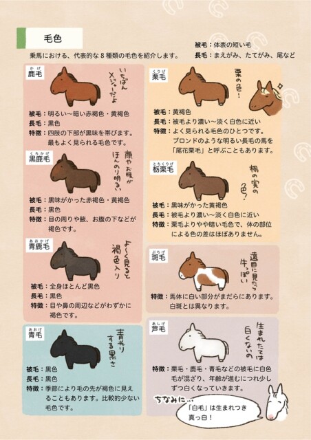 10話P9