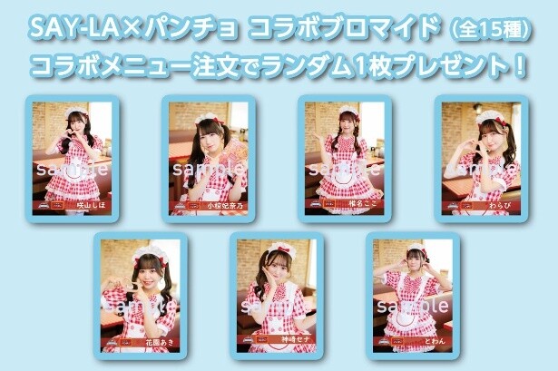 SAY-LA×パンチョ コラボブロマイドは各メンバー2種と集合カットの撮りおろし全15種
