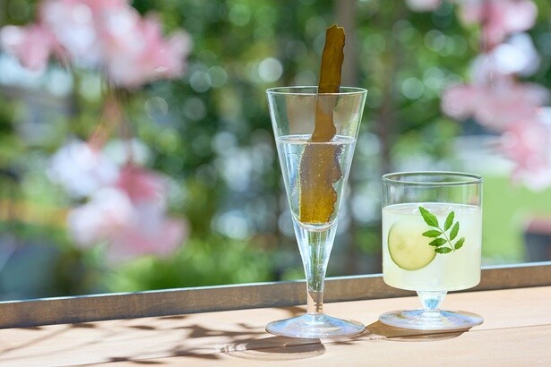 昆布が飛び出す見た目にもおもしろい「だしジンソーダ」(左)とまろやかで飲みやすい味が特徴の「だしレモネード」(右)