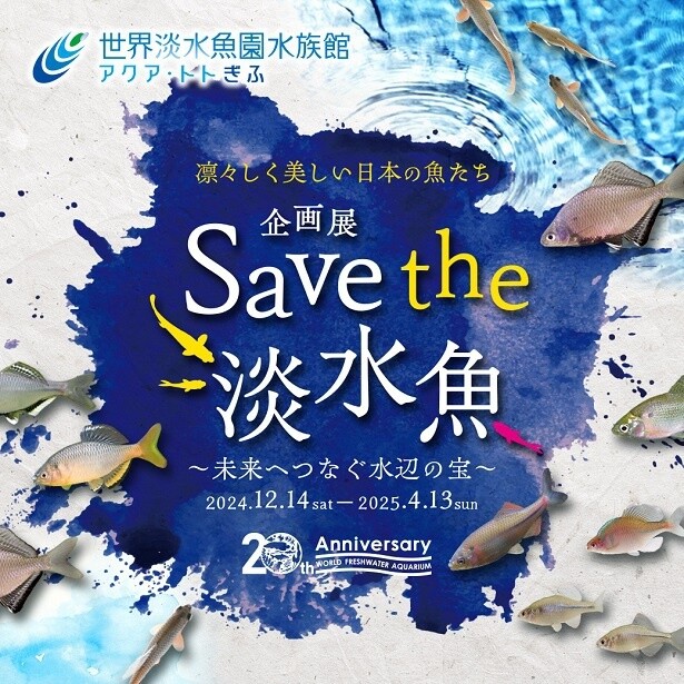 国内で最初に認定された希少種保全水族館「アクア・トト ぎふ」で、「Save the淡水魚～未来へつなぐ水辺の宝～」が開催中