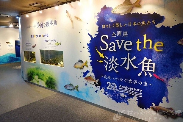 「アクア・トト ぎふ」の環境保全への取り組みも紹介されている
