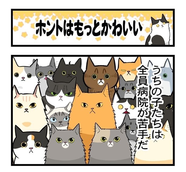 「ホントはもっとかわいい」と声を大にして言いたい