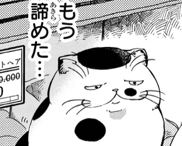 日に日に値段を下げても「ブッサイク」と見向きもされない成猫の前に現れたのは？