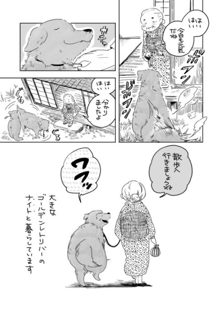 ほのぼのとした日常が描かれている