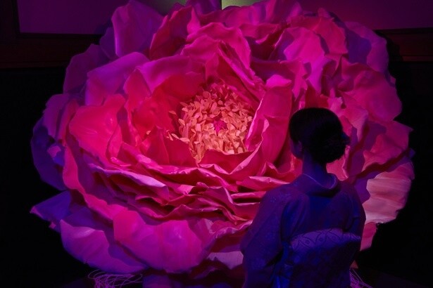 巨大な芍薬から始まる物語