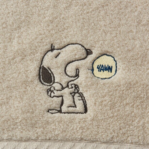 画像 1313