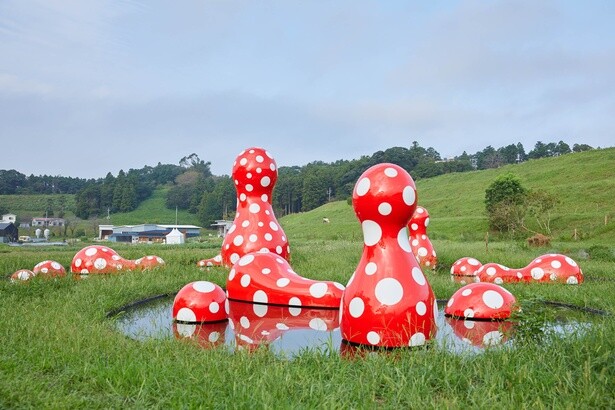 草間彌生＜新たなる空間への道標＞2016年 (C)YAYOI KUSAMA, Courtesy of Ota Fine Arts