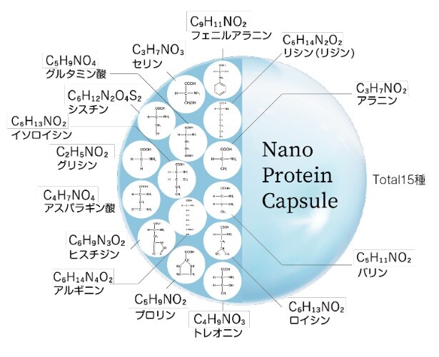 ナノプロテインカプセルイメージ