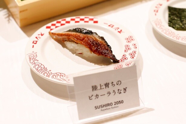 「陸上育ちのビカーラうなぎ」