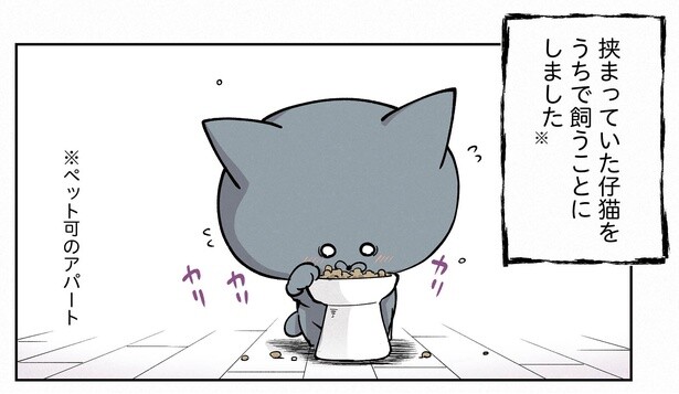 12話P1-1