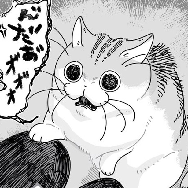 飼い主に低い声でうなる猫