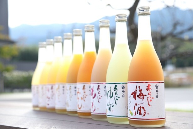果実感溢れる味わいを楽しめる日本酒仕込みのリキュール「梅乃宿あらごし」シリーズ