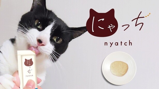 食品グレードの天然由来原料を100％使用したピューレタイプのおやつ「にゃっち」