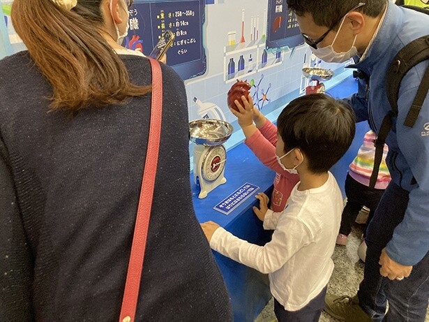 臓器の重さラボ
