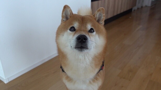 お部屋で少し休憩