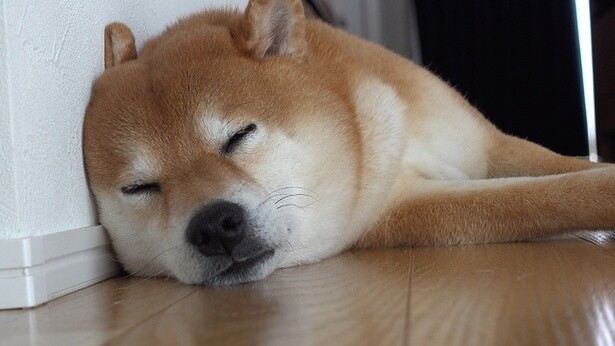 おやすみなさい
