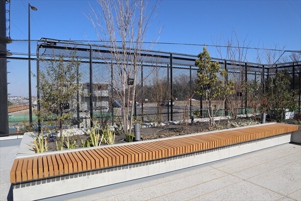 球場内にはベンチなども設けられ、公園のようにも活用できる