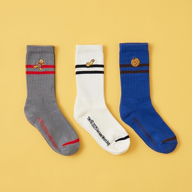 「刺しゅうソックス3点セット」(3850円) 