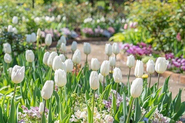 2024年もたくさんの花が園内を彩った