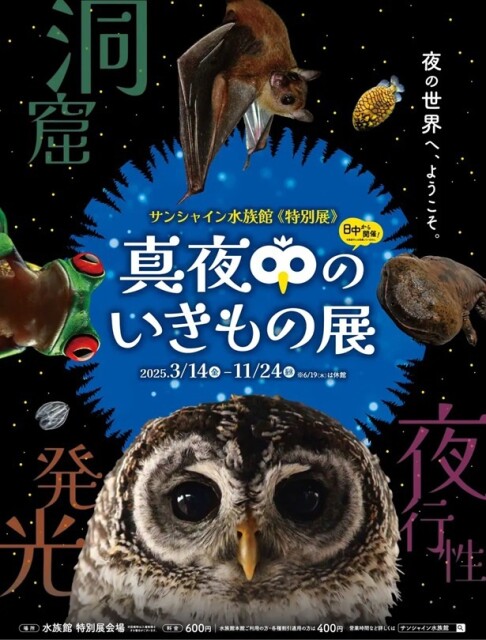 サンシャイン水族館で開催！「真夜中のいきもの展」