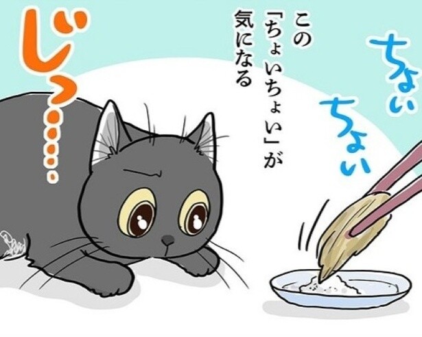 「ボクも！」我慢しきれなかった愛猫が…ついにやっちゃった!!