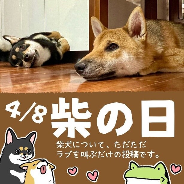 「かわいい」が2匹落ちてる！拾いたい!!