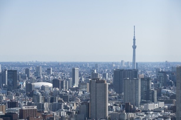 北東方面には東京スカイツリーが見える