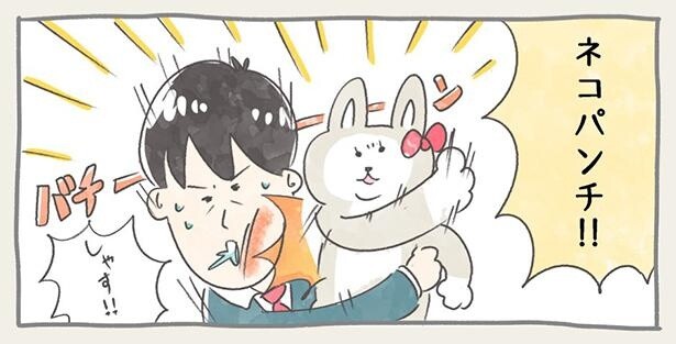 猫のファンサービスは、「握手会」ならぬ「パンチ会」
