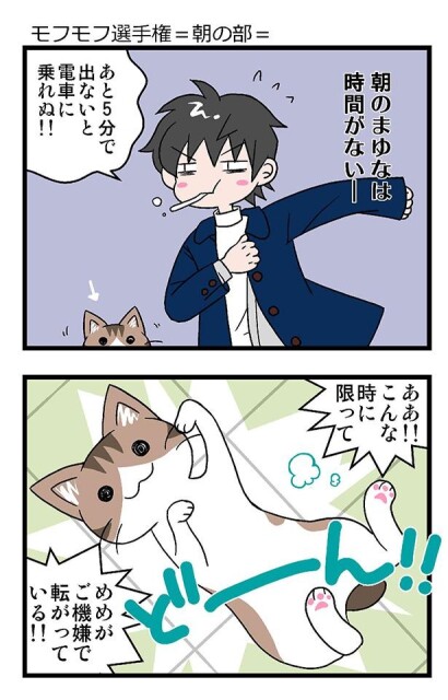モフモフ選手権・朝の部。猫がごきげんで転がってる！