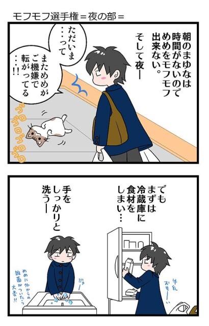 『モフモフ選手権・夜の部。帰宅後もまさかの「ボーナスタイム」
