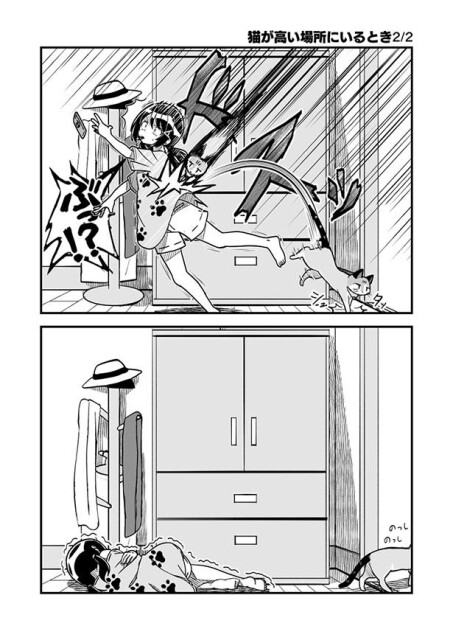 猫が高い場所にいるとき 2