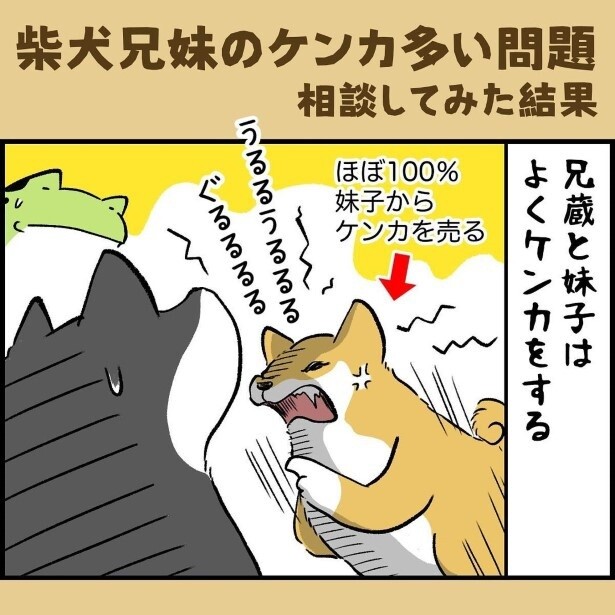 動物病院の先生に相談してみた結果はいかに…？