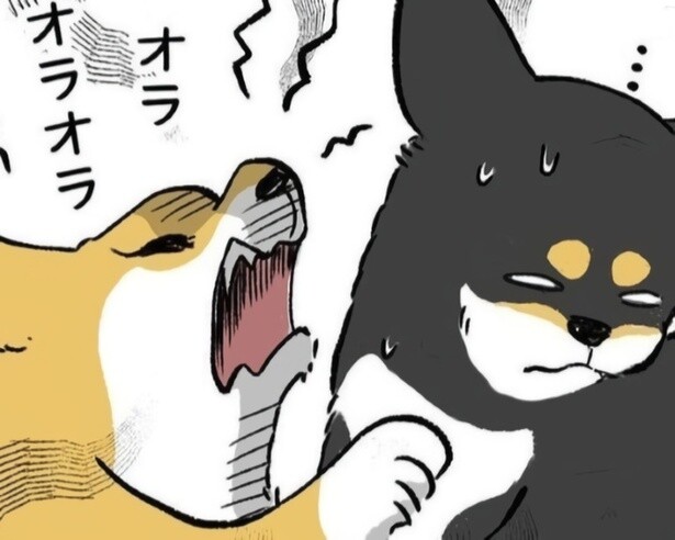 いつもケンカを仕掛けるのは妹の柴犬で、兄はケンカを買いたくないタイプなのだが…