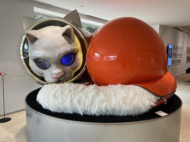 多くの人に愛されている宇宙猫に出会える