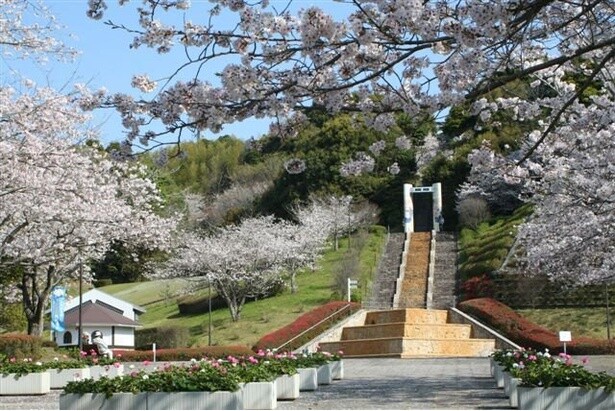 広々とした園内は各所で花見を楽しめる／久峰総合公園