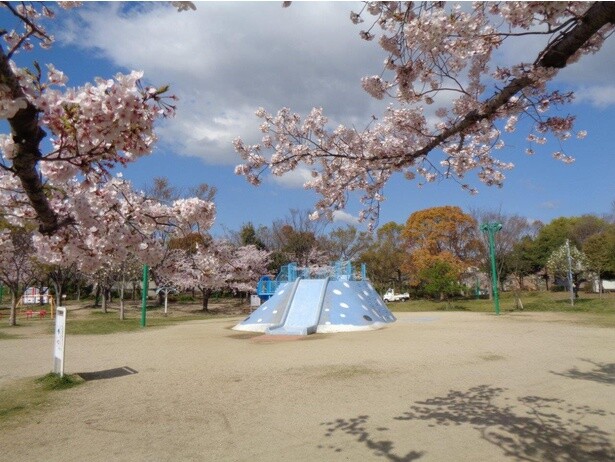芝生広場を中心に多くの花見客が訪れる／八幡屋公園