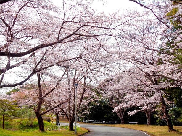 美しい自然を満喫しながら、温泉が楽しめる／つま恋リゾート 彩の郷