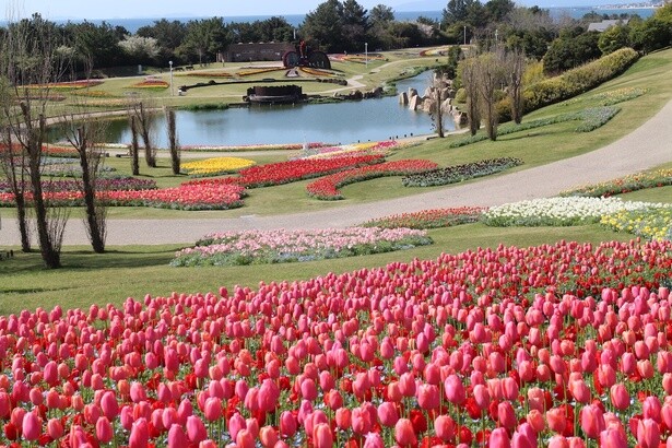 淡路花博25周年記念 花みどりフェア(兵庫県 淡路島国営明石海峡公園)