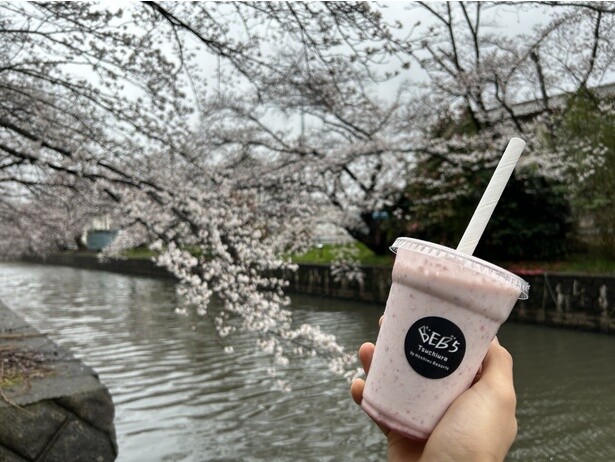 お花見スポットで見頃の桜と一緒に楽しむと最高！