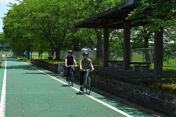 旧筑波鉄道の廃線跡には、急なカーブや激しいアップダウンがなく、走りやすいサイクリングロードが続く
