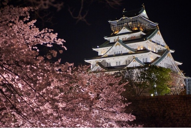 「平成の大改修」によりよみがえった天守閣／大阪城公園の桜 - 大阪府大阪市中央区