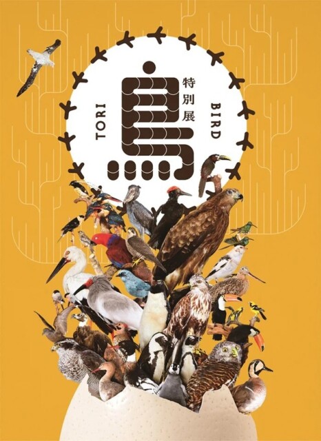 名古屋市科学館で特別展「鳥～ゲノム解析が解き明かす新しい鳥類の系統～」が開催中