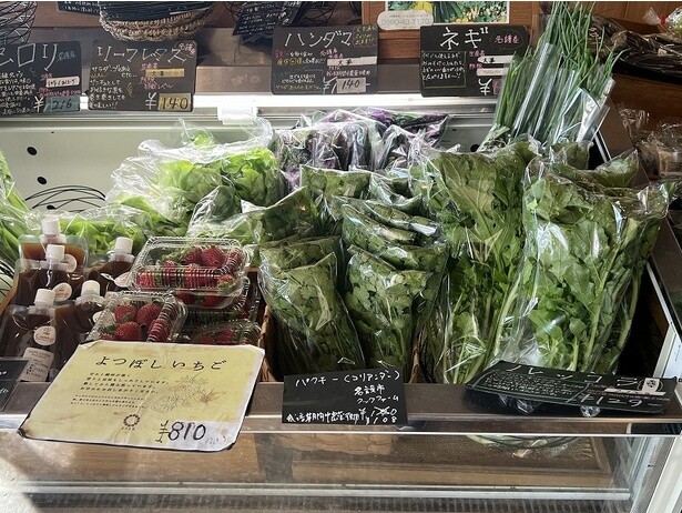地元の野菜の魅力を知る (「クックハル」の野菜)