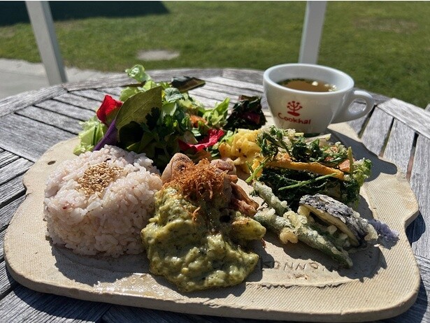 地元の食材を使った「日替わり畑のランチプレート」