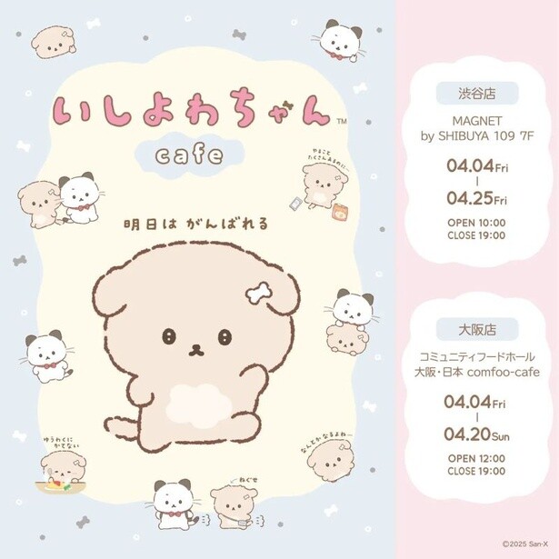 「いしよわちゃんカフェ」は、渋谷・大阪にて期間限定開催