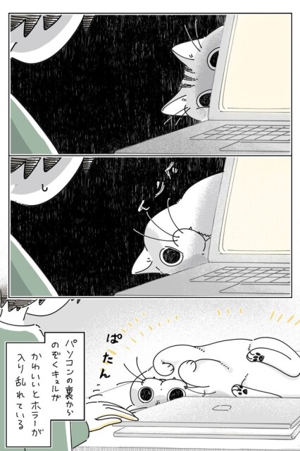 03