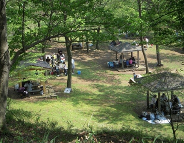 神奈川県立 七沢森林公園 バーベキュー場／神奈川県厚木市